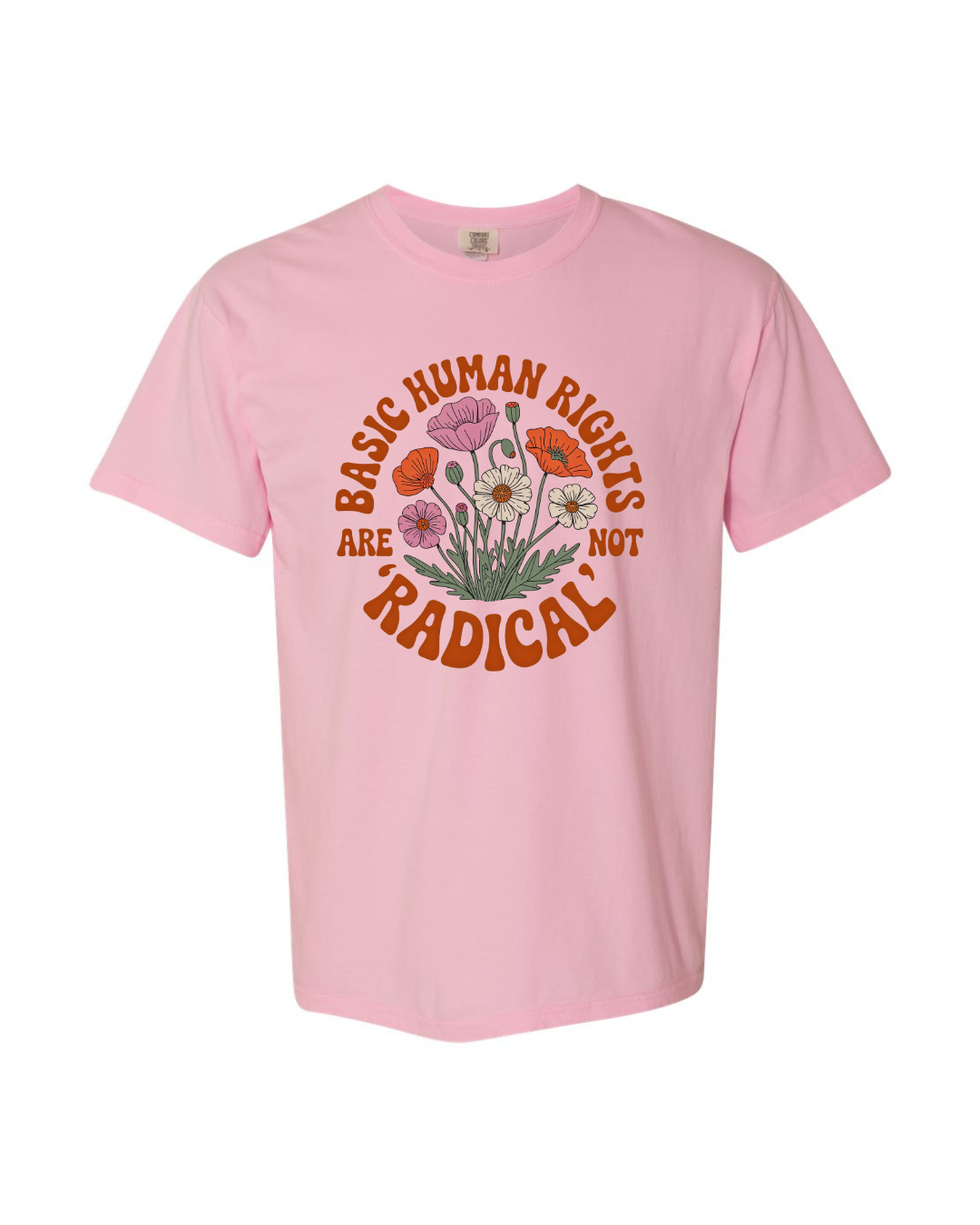 Basic Human Rights are NOT Radical