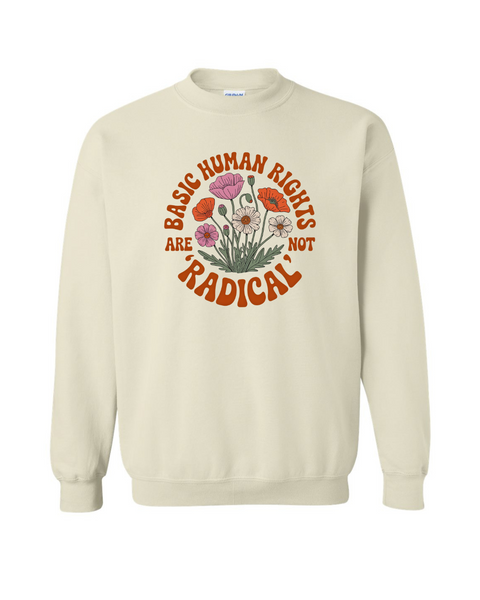 Basic Human Rights are NOT Radical