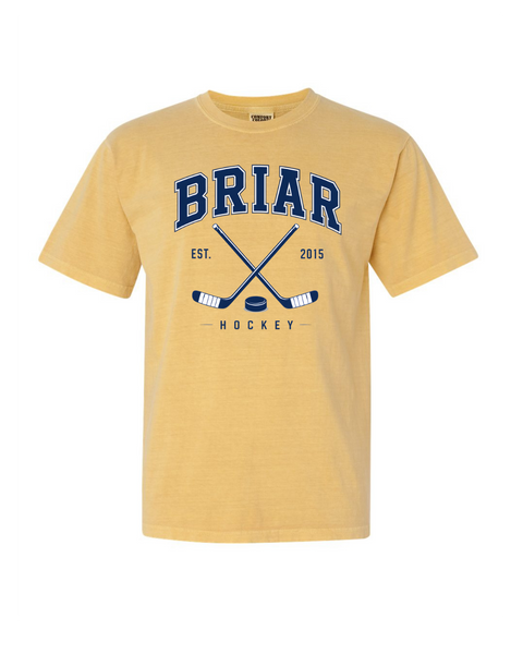 Briar University Hockey Logo w/Sticks