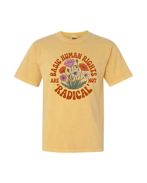 Basic Human Rights are NOT Radical