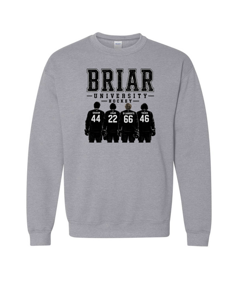 Briar University Hockey w/jerseys