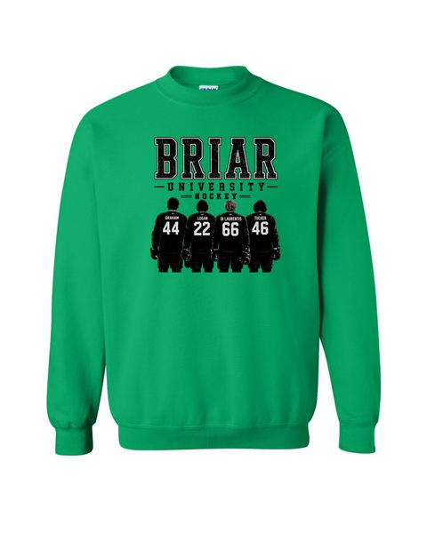 Briar University Hockey w/jerseys