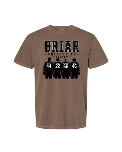 Briar University Hockey w/jerseys
