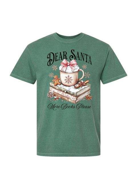 Dear Santa, More Books Please