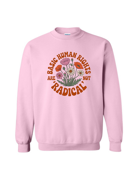 Basic Human Rights are NOT Radical