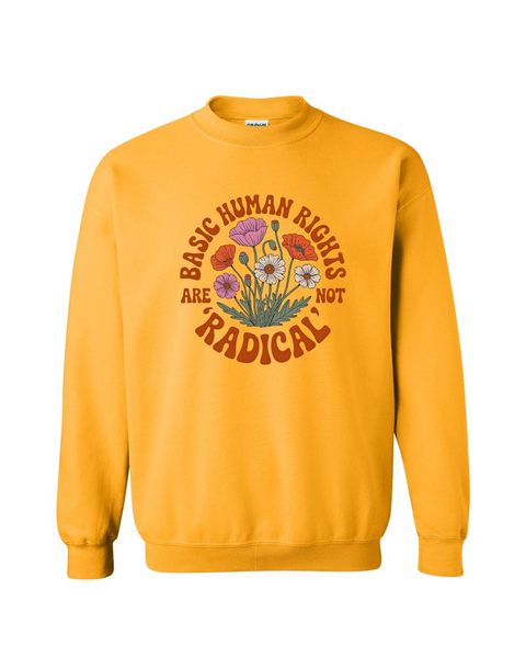 Basic Human Rights are NOT Radical