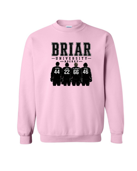 Briar University Hockey w/jerseys
