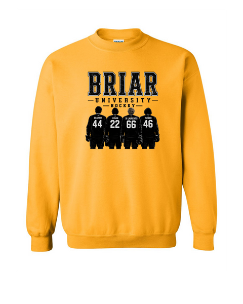 Briar University Hockey w/jerseys